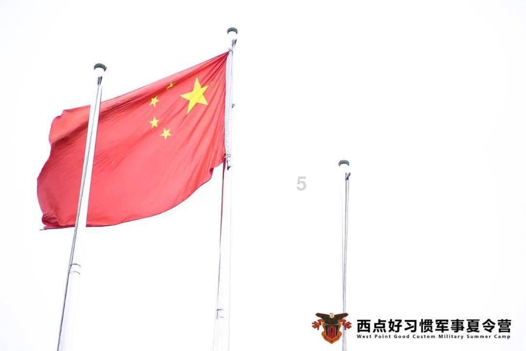 全球第87种壁虎在大别山被发现：喜欢咬人